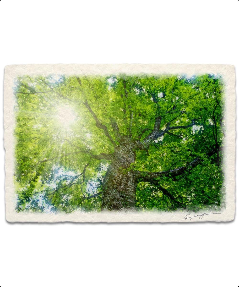 自然の風景画　グリーン癒し　額付き　ガラス 楽天市場】グリーン 緑（テーマ（絵画）風景）（版画｜絵画）：アート